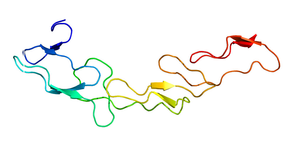 Novel combination of antibodies leads to significant improvement in cancer immunotherapy