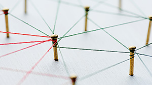 Grafik mit den Begriffen: Karriere, Unterstützung, Studierende, Förderer, Beratung, Projekte, Professuren