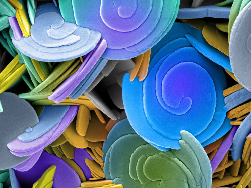 Katalysator, © Universität Basel, Nano Imaging Lab Katalysator, © Universität Basel, Nano Imaging Lab