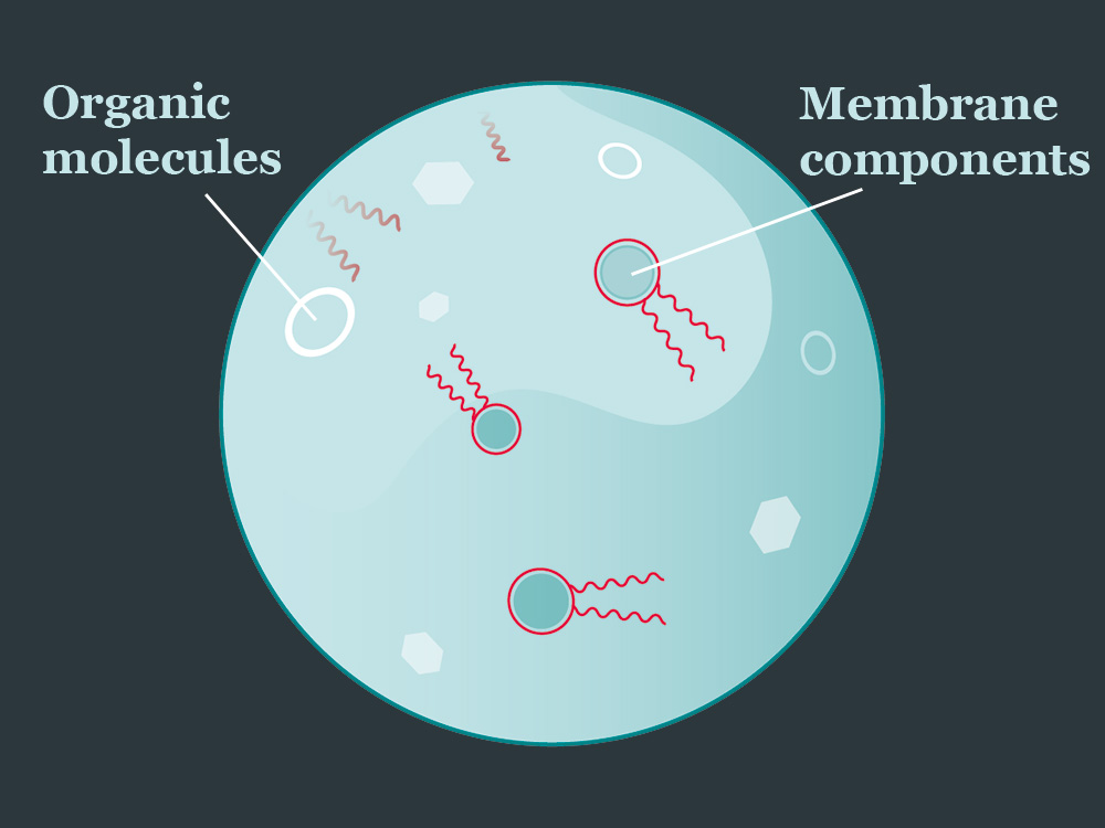 Illustration of free-swimming organic molecules and membrane components