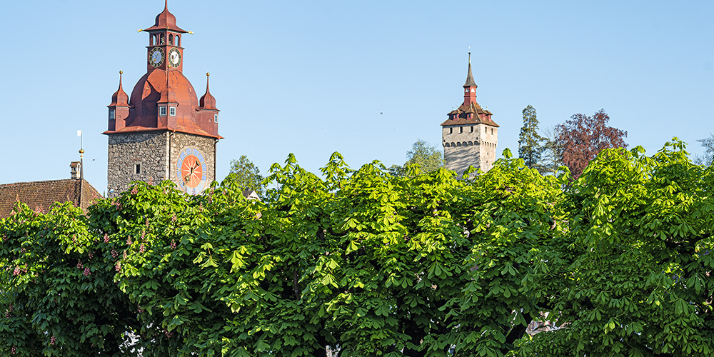 Building or greening? Making space for urban plants
