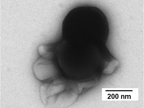 Mikroskopische Aufnahme des Nanoroboters Mikroskopische Aufnahme des Nanoroboters