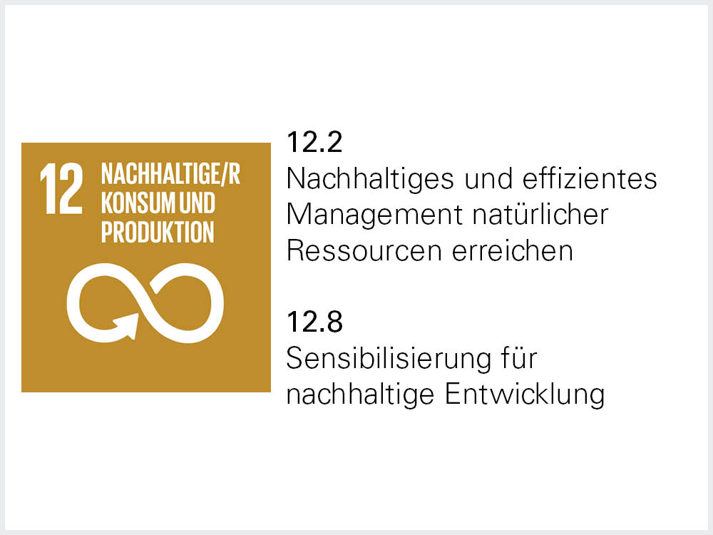 Sustainable Development Goal 12 Sustainable Development Goal 12
