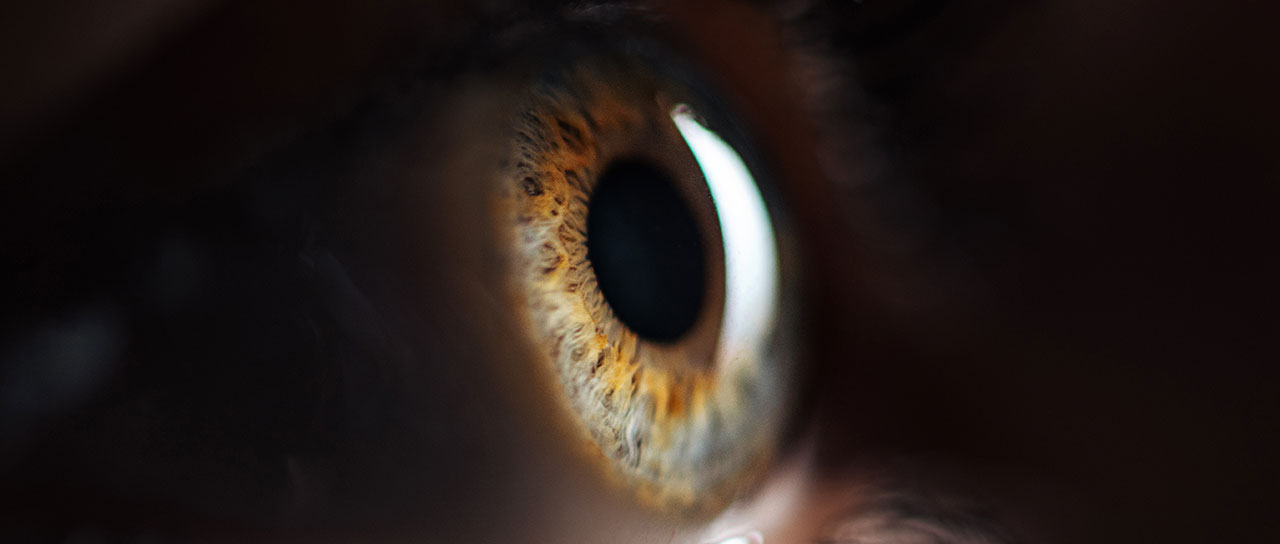 Close-up of an eye