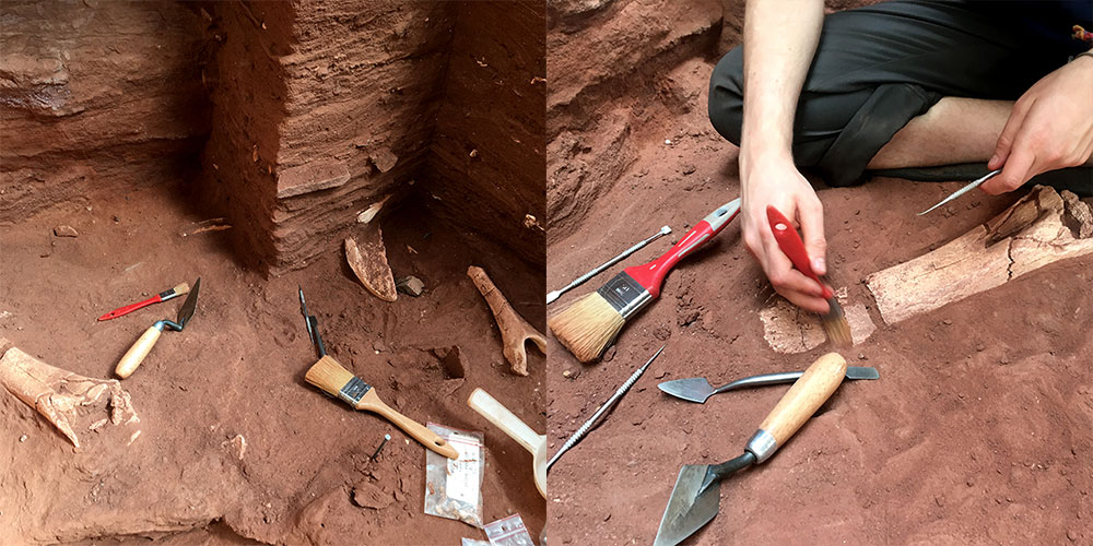 Hitze, Wein und prähistorische Knochen – ein Grabungsbericht aus der elsässischen Provinz