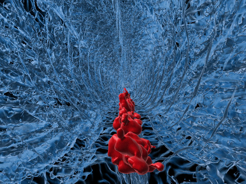 Mikrotomografische Aufnahme eines Zebrafisch-Embryos Mikrotomografische Aufnahme eines Zebrafisch-Embryos