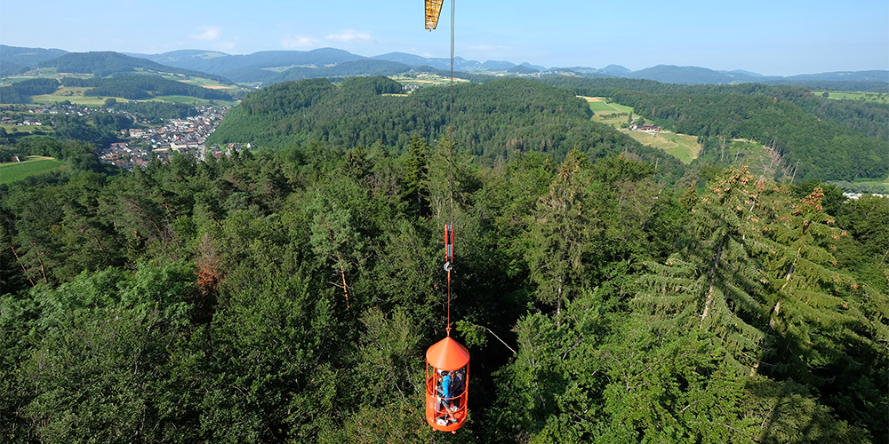Swiss Canopy Crane II über einem Wald