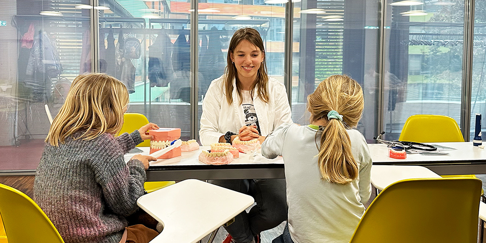 Teddybär-Spital: Studierende der Gesundheitswissenschaften gehen auf Kuschelkurs 