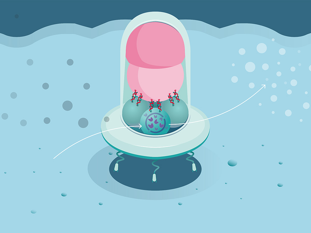 Illustration des Nanoroboters, der auf einer Oberfläche sitzt. Die Enzyme im Inneren verarbeiten Moleküle aus der Umgebung. Illustration des Nanoroboters, der auf einer Oberfläche sitzt. Die Enzyme im Inneren verarbeiten Moleküle aus der Umgebung.