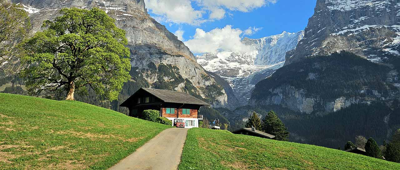 Alpenlandschaft mit grüner Wiese, einem grossen Laubbaum und einem Holzhaus, zu dem eine schmale Strasse führt, vor schneebedeckten Bergen unter blauem, bewölktem Himmel.
