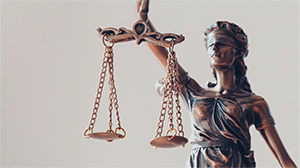 University of Basel, Continuing Education, Degree Programs, Law and politics