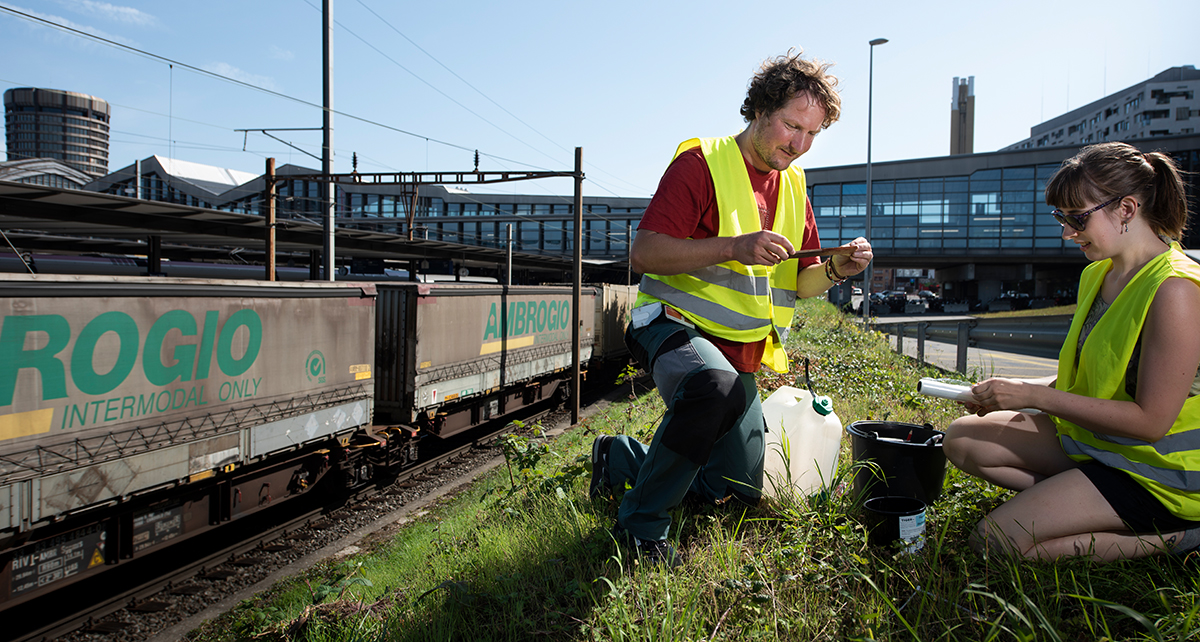 Potential breeding grounds are located along transport routes, which play a key role in the spread of the tiger mosquito. Since the Basel region is a hub for international goods transport by road and rail, researchers like Martin Gschwind and Freya Pappert from the Swiss TPH (pictured here) monitor these locations very closely. (Image: University of Basel, Christian Flierl)