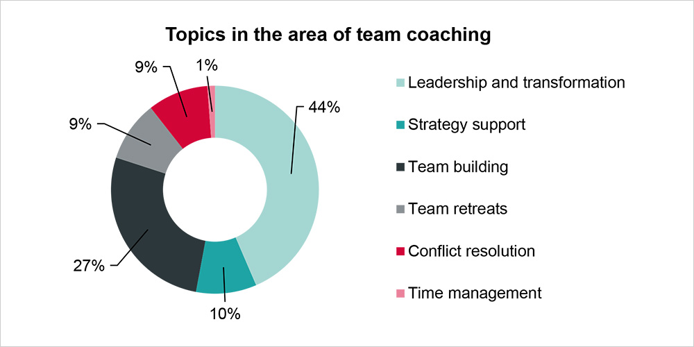 topics in the area of team guidance