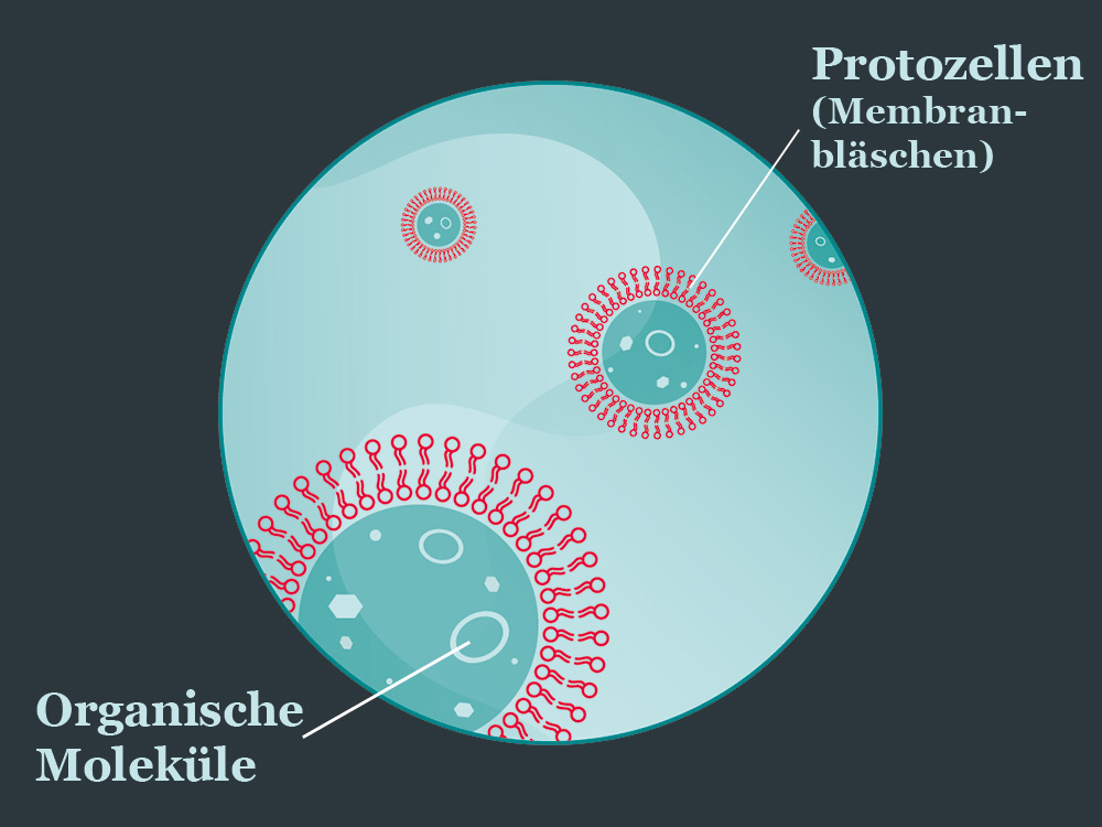 Illustration von Membranbläschen, die organische Moleküle umschliessen Illustration von Membranbläschen, die organische Moleküle umschliessen