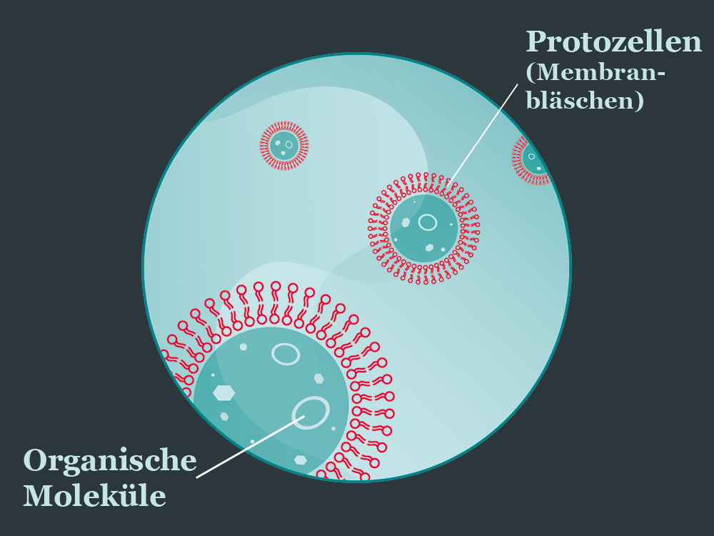Illustration von Membranbläschen, die organische Moleküle umschliessen