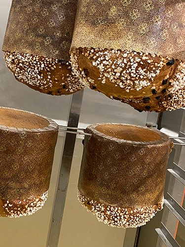 Über Kopf hängende Panettone nach dem Backen Über Kopf hängende Panettone nach dem Backen