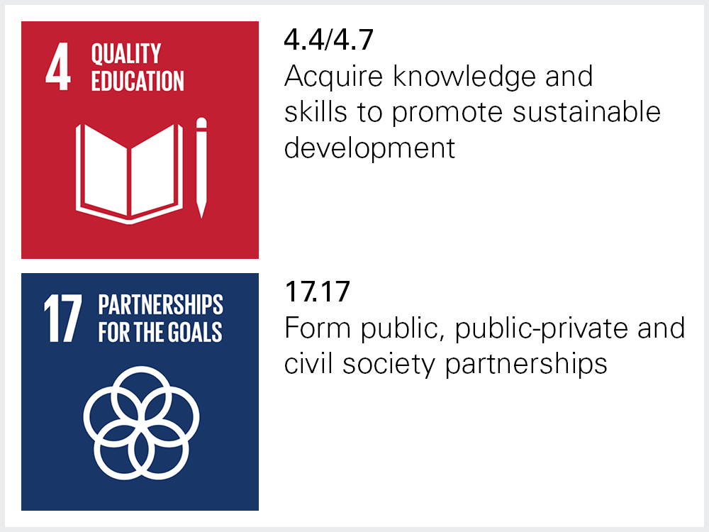 Sustainable Development Goals 4 and 17