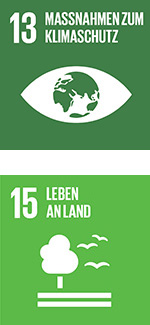 Sustainable Development Goals Icons welche für das dreizehnte und das fünfzehnte Ziel stehen: 13/Massnahmen zum Klimaschutz und 15/Leben Anland