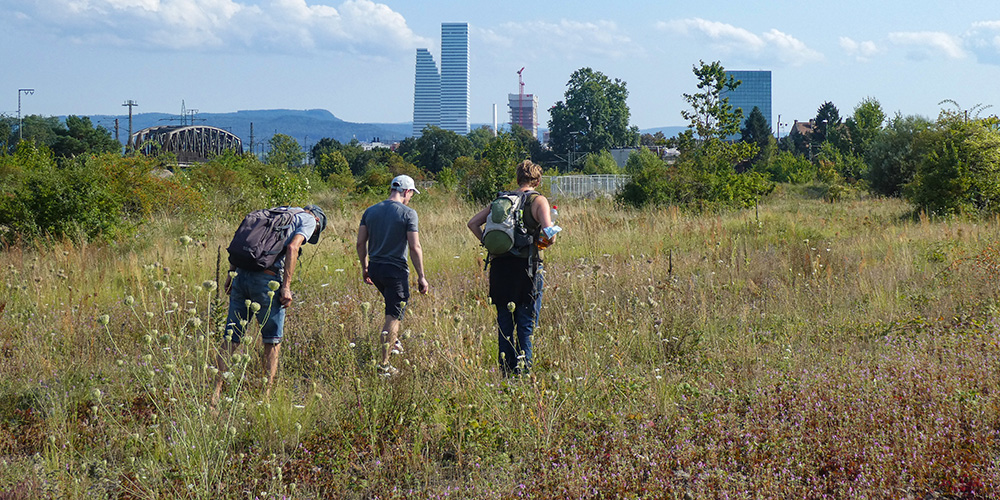 Regionale Flora: Auf Pflanzenjagd.