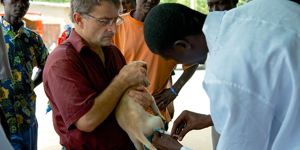 Study Reveals Feasibility of Eliminating Rabies in Africa