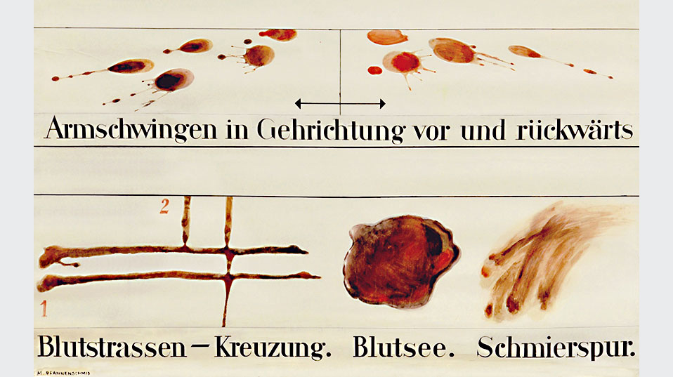 Vorlesungstafel zur Entstehung und zur Untersuchung von Blutspuren am Tatort. (© Institut für Rechtsmedizin Basel)