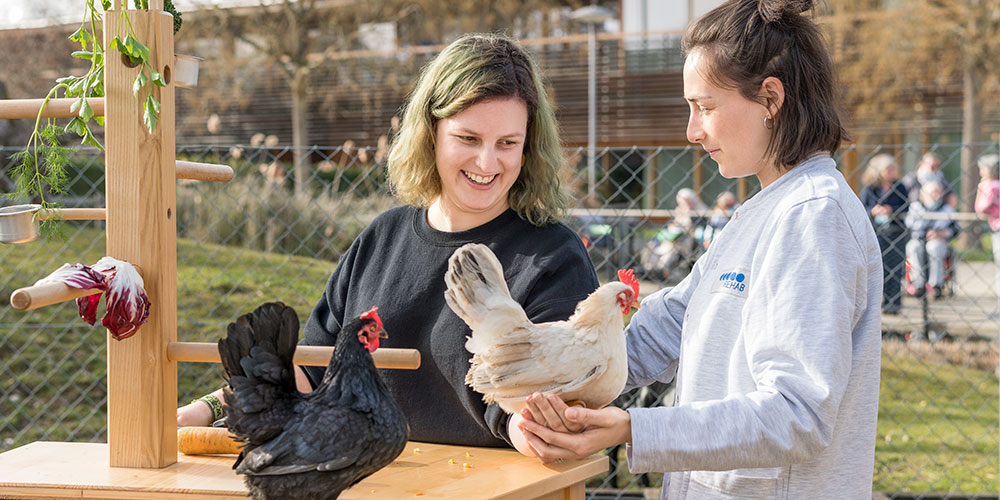 Therapy straight from the chicken coop and the pigpen.