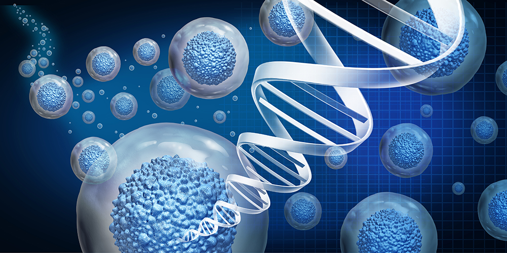 Visualisierung von Zellen und DNA