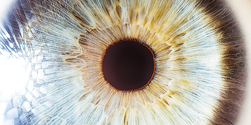 Close-up view of a human eye