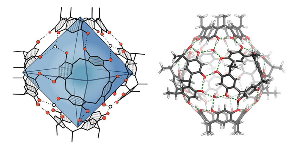 Neuer Ansatz zur Synthese von Terpenen