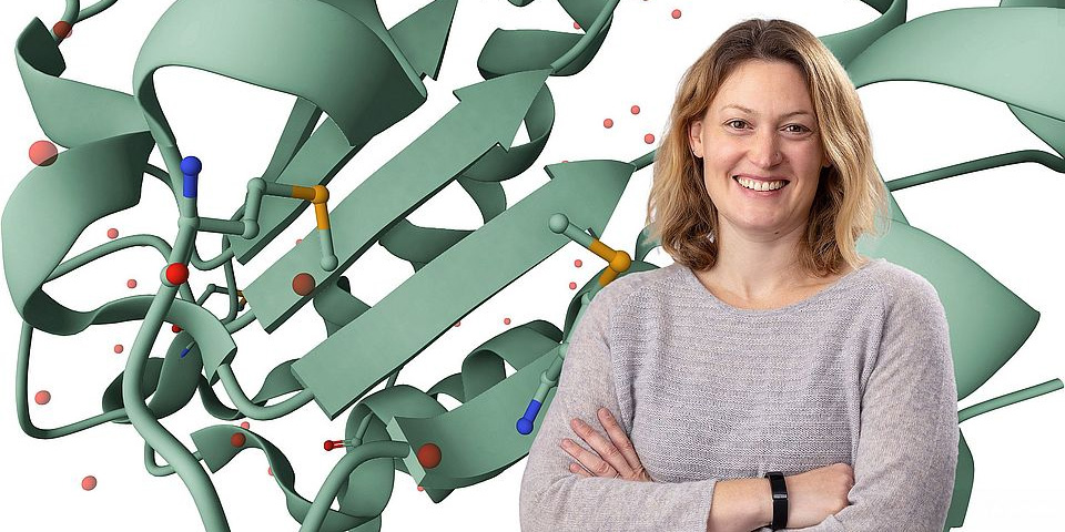 Lächelnde Frau mit verschränkten Armen vor einem 3D-Molekülmodell einer Proteinstruktur mit Helices, Pfeilen und Atomen. Lächelnde Frau mit verschränkten Armen vor einem 3D-Molekülmodell einer Proteinstruktur mit Helices, Pfeilen und Atomen.