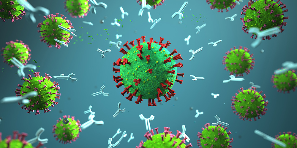 How the immune system battles lifelong viral infections acquired at birth