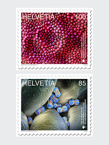 Special issue stamps by a Basel alumnus.
