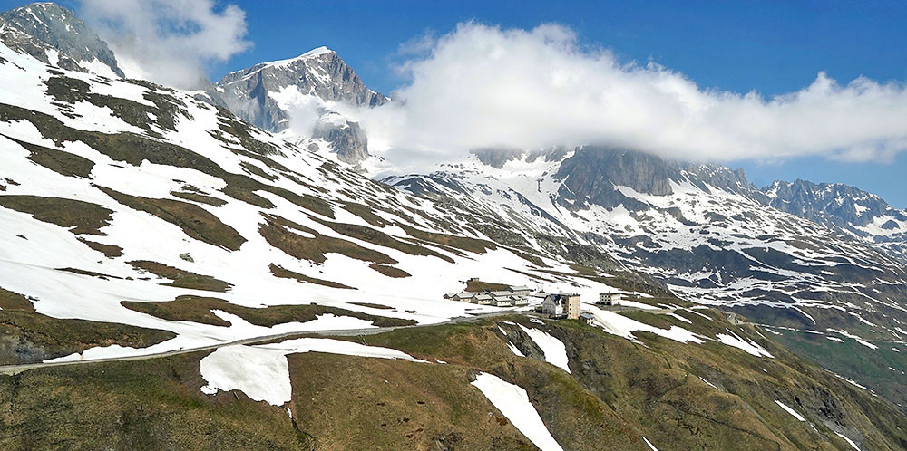 Alpine Pflanzen verlieren zunehmend weissen «Schutzmantel»