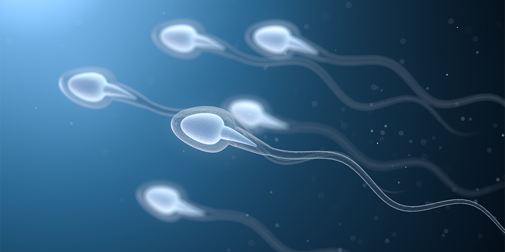Mobiltelefonnutzung kann Spermienqualität beeinträchtigen 