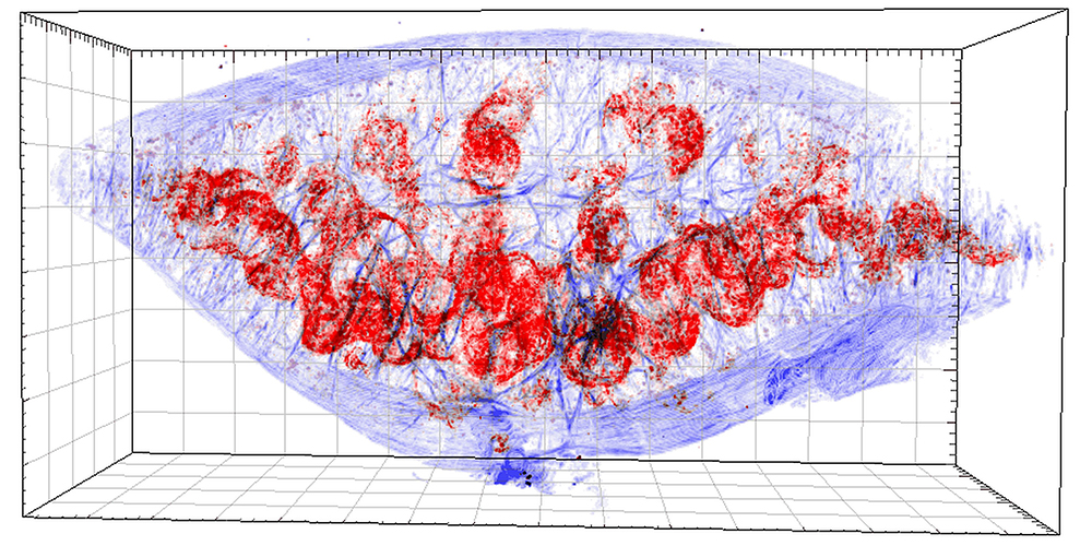 An enemy within: Pathogens hide in tissue