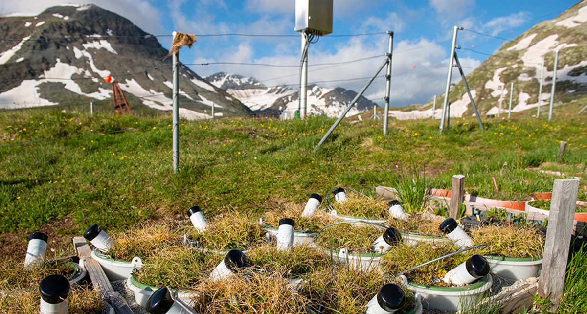 Wissenschaftliche Untersuchungsgeräte in einer alpinen Landschaft