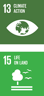 Sustainable Development Goals Icons welche für das dreizehnte und das fünfzehnte Ziel stehen: 13/Massnahmen zum Klimaschutz und 15/Leben Anland