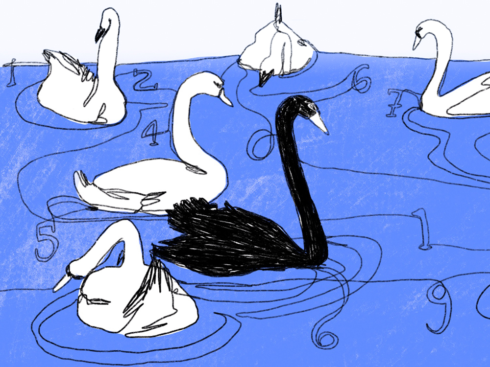 Illustration of a pond with swans, one of them is black. Illustration of a pond with swans, one of them is black.
