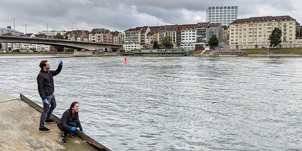 Wertvolle Virensammlung aus Basel für weltweite Forschung