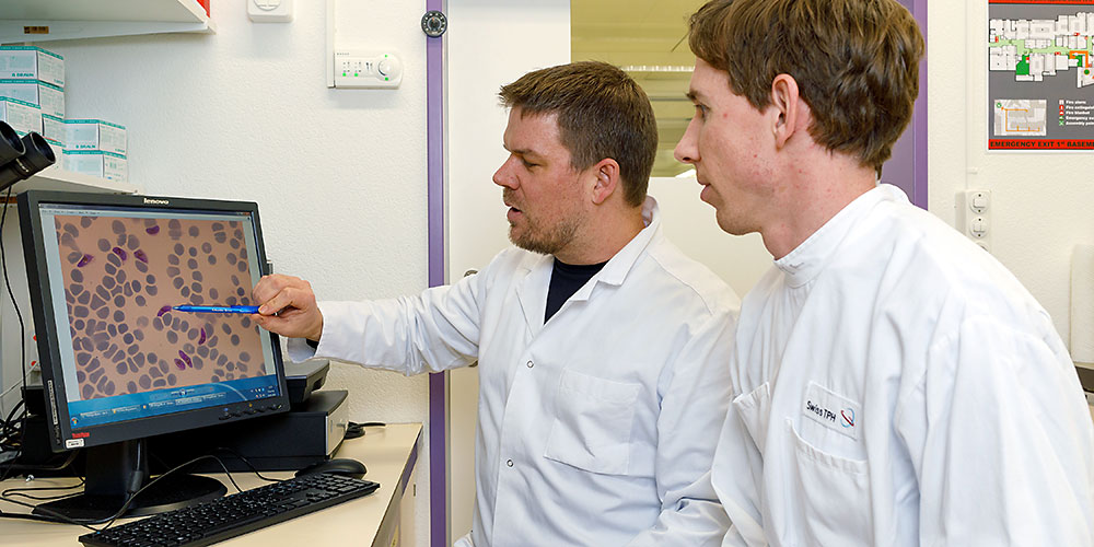 Besseres Verständnis der Parasitenbiologie könnte Malaria-Übertragung stoppen