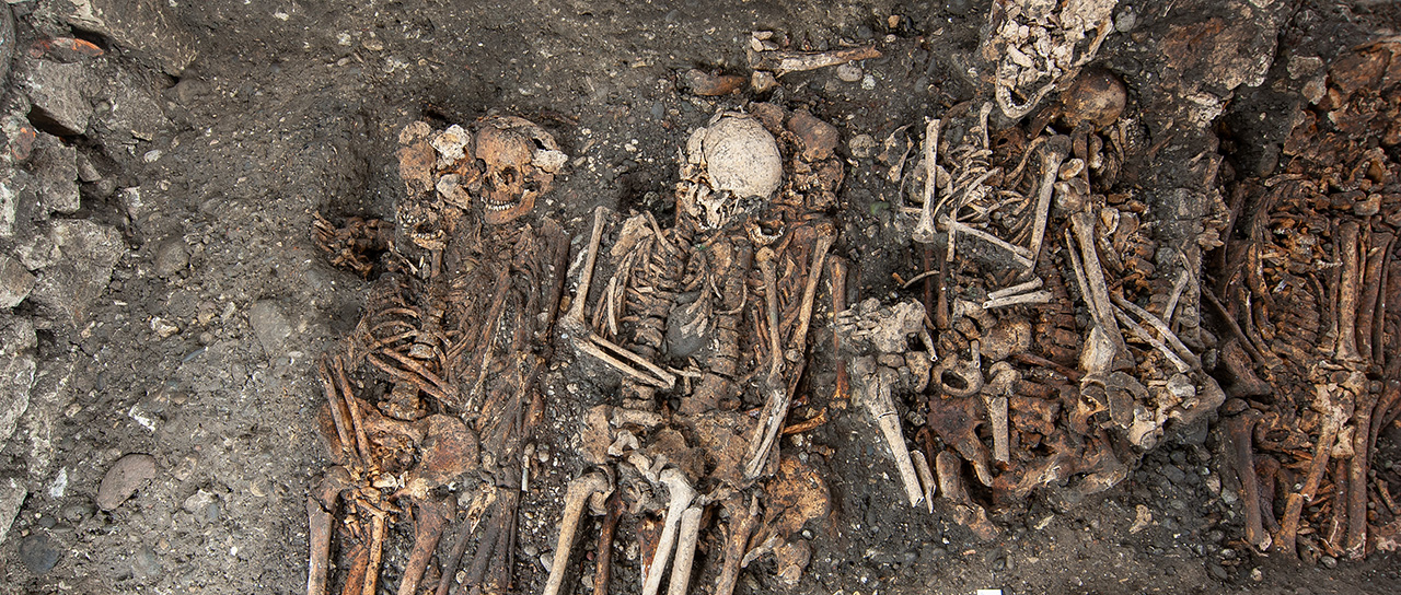 Freigelegte menschliche Skelette liegen nebeneinander im Boden, teilweise erhalten mit sichtbaren Schädeln und Knochen.