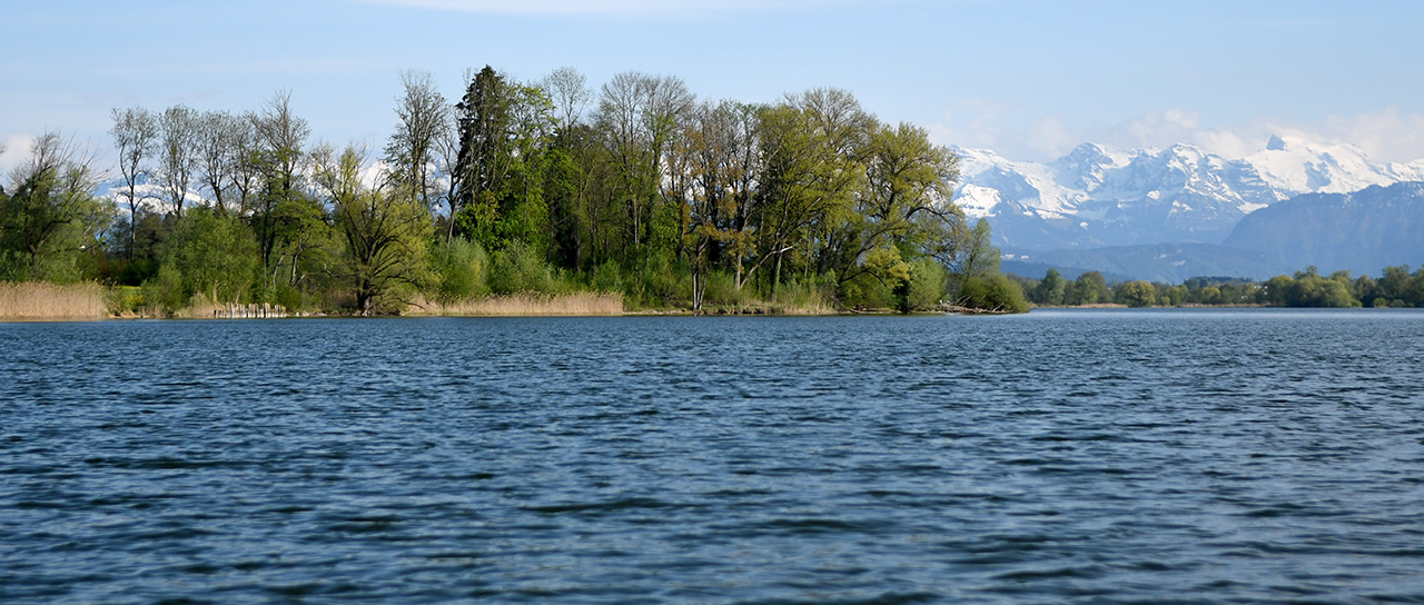 Blick auf den Baldeggersee, im Hintergrund schneebedeckte Berge.