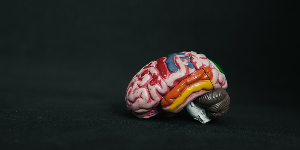 Schutz für Neugeborene: Neue Therapie soll Hirnhautentzündungen ohne Antibiotika verhindern 