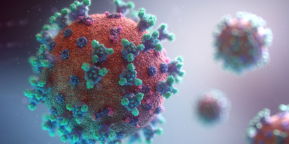 Visualisation of the Covid-19 virus. (Image: Fusion Medical Animation/Unsplash)