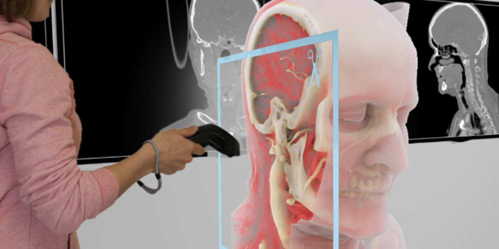 «Uni-Einblicke» besucht das Department of Biomedical Engineering