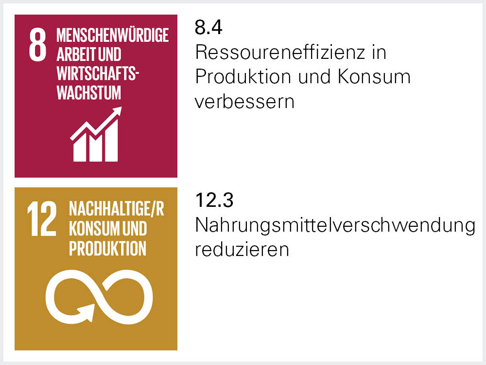 Icons von SDG 8.4 und 12.3 Icons von SDG 8.4 und 12.3