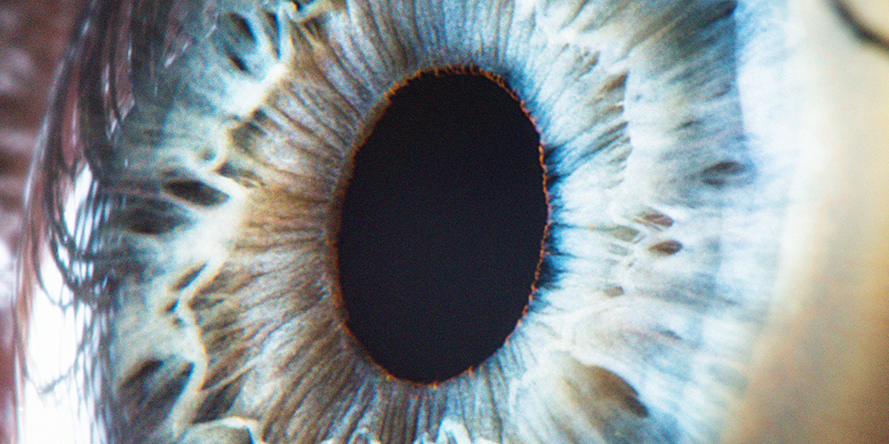 Closeup of a retina