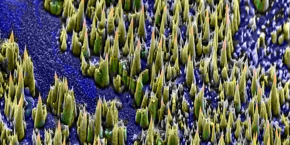 Spikes on a titanium surface.