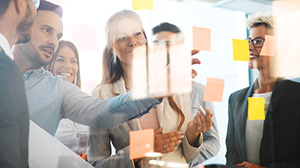 Professionelle Workshops & Networking-Veranstaltungen