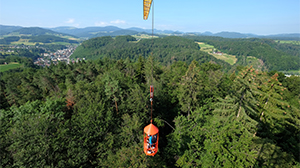 Forschungkran über Baumkronen